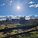 דירה Koehler Am Walde, Urlaub Mit Hund, Lutow