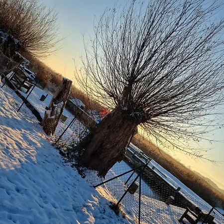 Koehler Am Walde, Urlaub Mit Hund, 公寓 Lutow