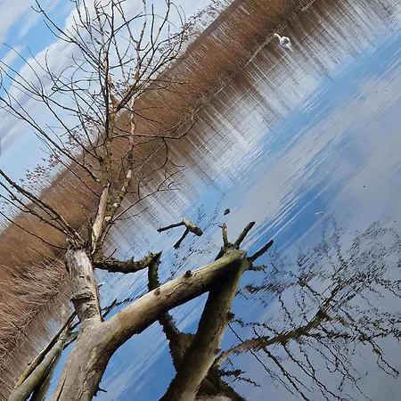 Koehler Am Walde, Urlaub Mit Hund, Lutow