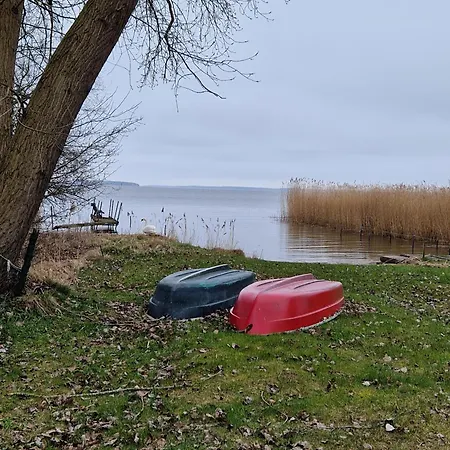 Koehler Am Walde, Urlaub Mit Hund, Apartmán *