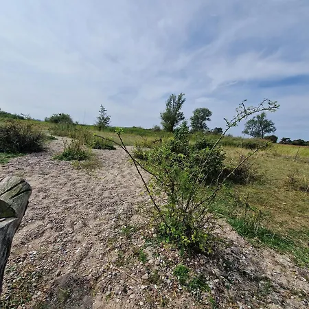 Koehler Am Walde, Urlaub Mit Hund, 公寓