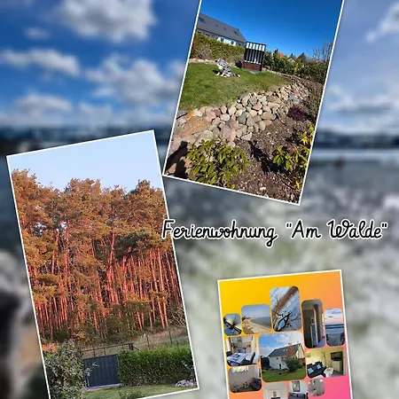 Koehler Am Walde, Urlaub Mit Hund, *