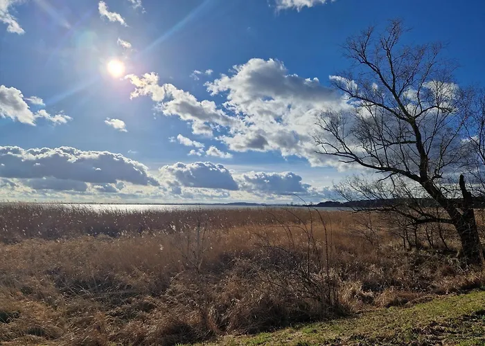 Koehler Am Walde, Urlaub Mit Hund, *