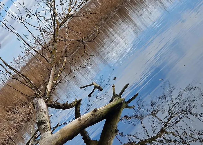 Koehler Am Walde, Urlaub Mit Hund, Lutow