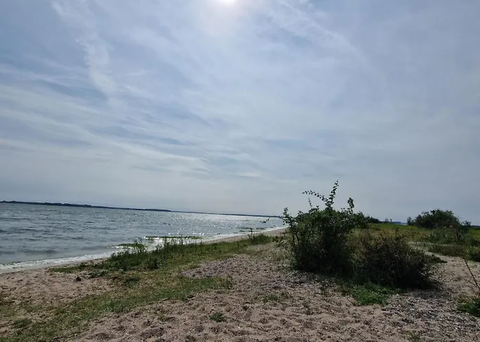 Apartamento Koehler Am Walde, Urlaub Mit Hund, Lutow