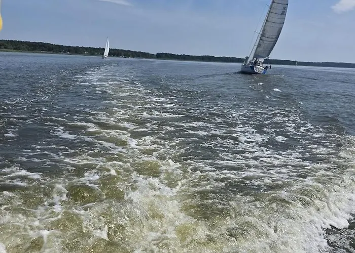 Apartamento Koehler Am Walde, Urlaub Mit Hund,