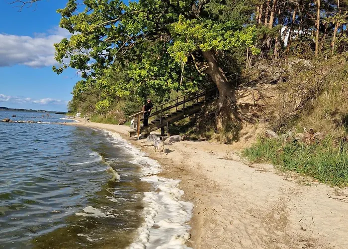 Apartamento Koehler Am Walde, Urlaub Mit Hund, *